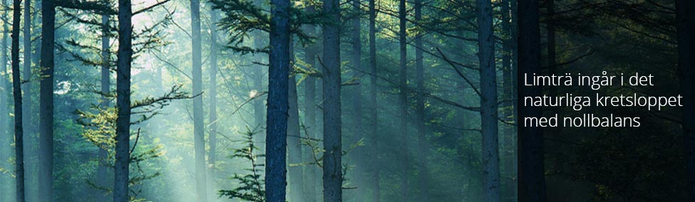 Limträ ingår i det naturliga kretsloppet med nollbalans